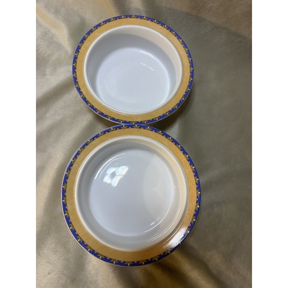 Dansk Fiesta Fruit 6.5” Wide Rim Soup Cereal Bowls Set of 2